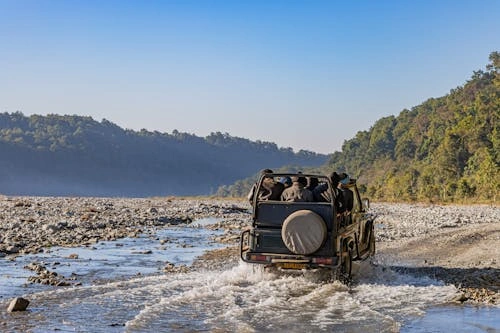 Corbett Safari